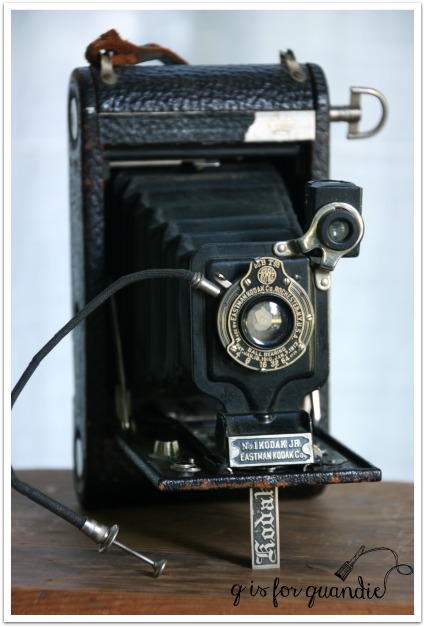 vintage camera with bellows