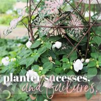planter successes, and failures.